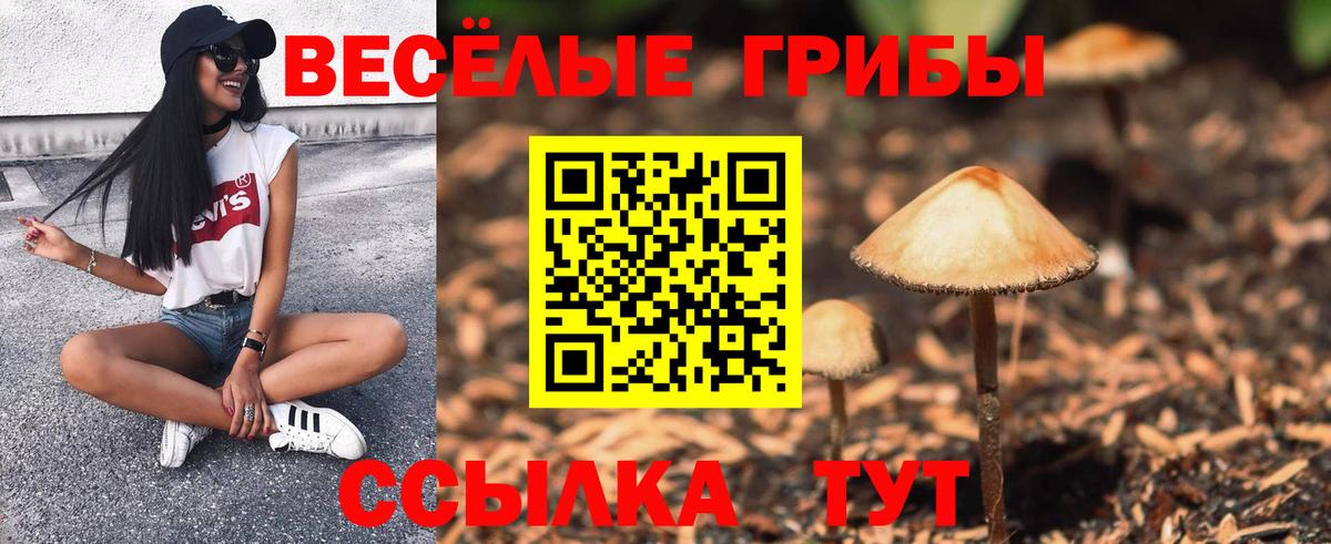 Галлюциногенные грибы Psilocybine cubensis  Вход с VPN  хочу наркоту  Ступино  Псилоцибиновые грибы GOLDEN TEACHER 